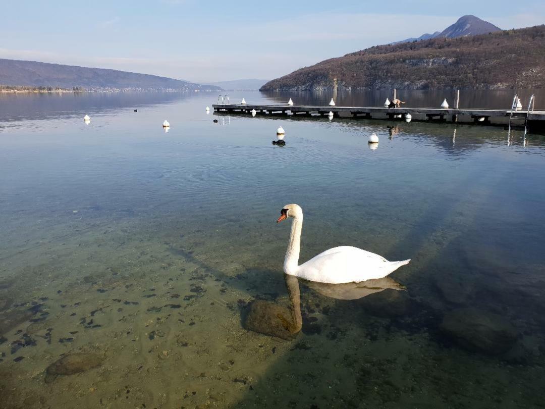 La Baie Des Voiles 3 Chambres 4 A 6 Personnes Au Bord Du Lac Plage Privee ดูแอ็งต์ ภายนอก รูปภาพ